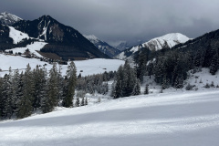 Berwang/Rinnen