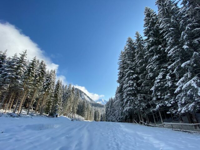 VerschneiterWegThaneller